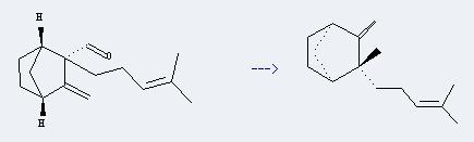 Bicyclo[2.2.1]heptane,2-methyl-3-methylene-2-(4-methyl-3-penten-1-yl)-, (1S,2R,4R)- can be used to produce (-)-β-santalene